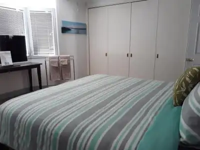 Lush & Co Auckland Bed & Breakfast - 5