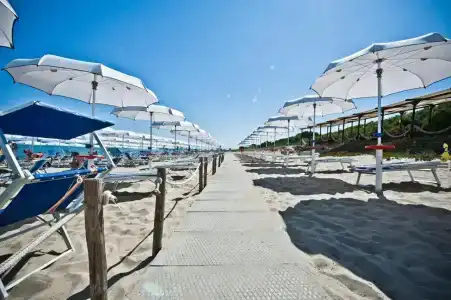 Ticho's Greenblu - 43