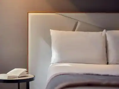 Mercure - 55