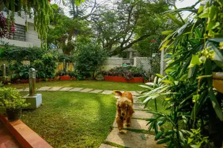 Cubbon Suites - 17