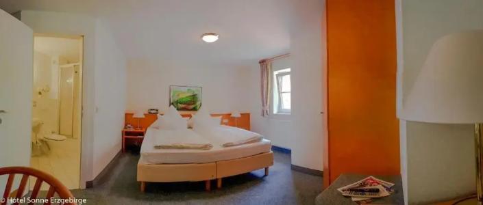 Sonne Erzgebirge - 25