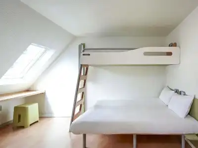 ibis budget Blois Centre - 66