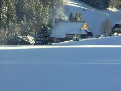ThälerHäusle Mit Schwimmbad - 15