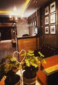 84 Gallery - 0