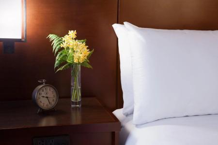 The Lakefront Anchorage - 2