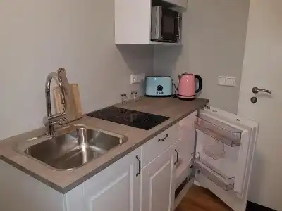 Skálatjörn Guesthouse - 99
