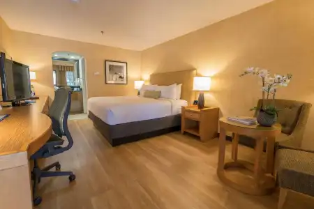 Best Western Plus Las Brisas - 49