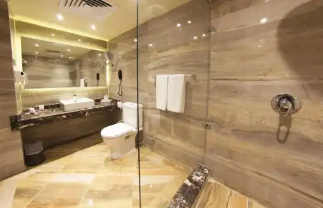 Pyramisa Suites Cairo - 4