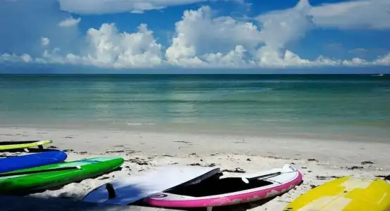 Coconut Inn - 19