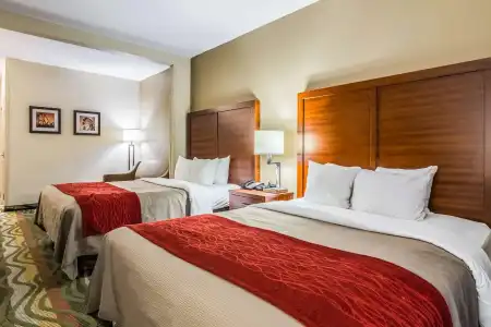 Comfort Inn & Suites Chattanooga West - Lookout Mountain - 2