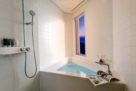 Nest, a Member of Designs - 109