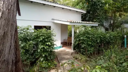 Lanta Island Resort - 157