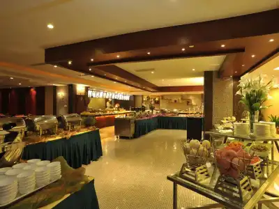 Wuhan Hongguang - 15