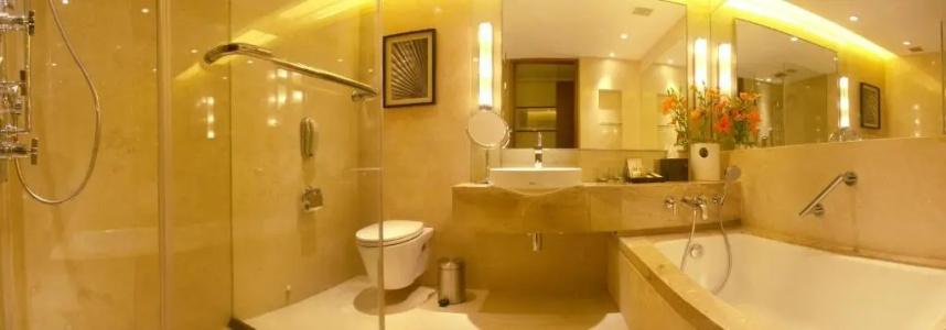Taj Coromandel - 84