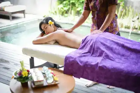 Purana Suite Ubud - 66