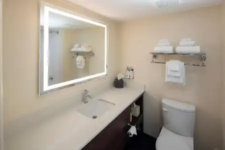 Holiday Inn VICTORIA – ELK LAKE by IHG - 111