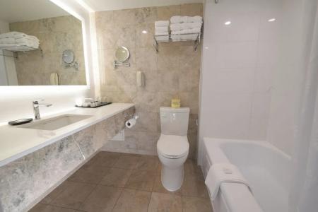 Sheraton Laval - 42