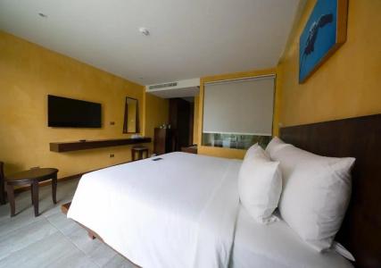 Coriacea Beachfront Boutique Phuket Resort - 26