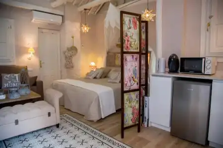 Apartamentos Luna Suites Palacio Almagra - 95