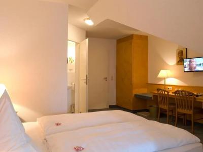 Sonne Erzgebirge - 22