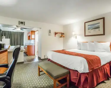 Rodeway Inn Newport - 26
