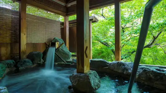 Hanashinsui Ryokan - 12