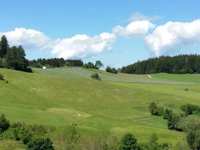 Rathaushotels Oberwiesenthal All Inclusive - 47