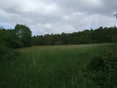 ParkHammerberg - 19