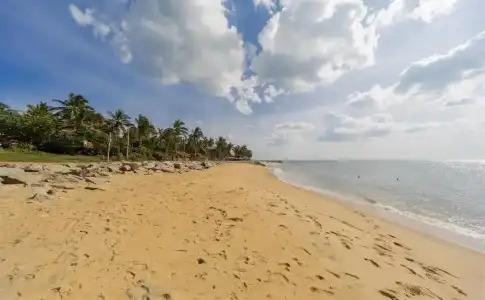 Jetwing Lagoon Wellness, A Luxury Reserve - Adults Only - 18