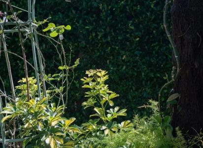 Le Soleil Boutique - 17