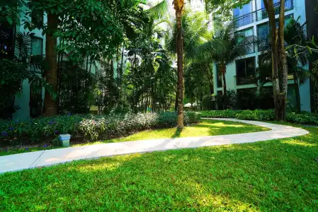 Casuarina Shores - 31