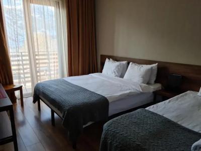 Hilltop Kazbegi - 26