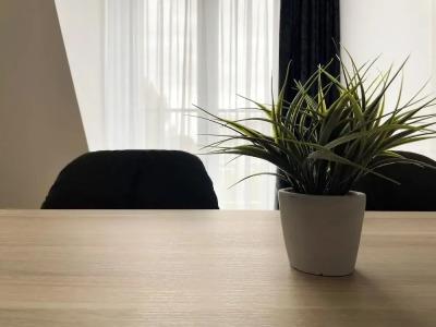 Holi City Apart Berlin - 95