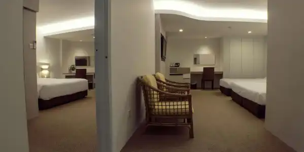 VIP (SG Clean Certified) - 47