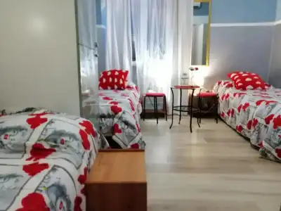 Român Holidays Hostel - 23