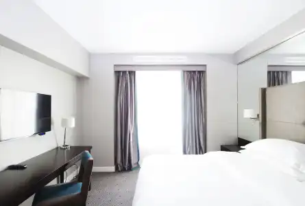 Sheraton Bucharest - 3