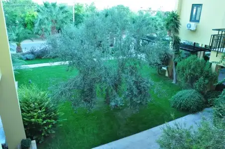 Palm Court Suites - 28