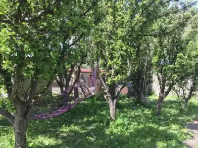 Kazbegi Guest House - 20