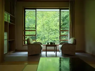 Shirahone Onsen Tsuruya Ryokan - 82