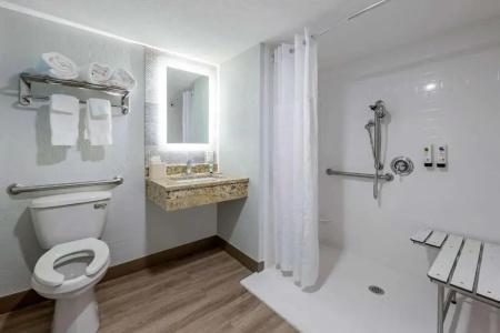Dolphin Sands Clearwater Beach, an Ascend Collection - 54