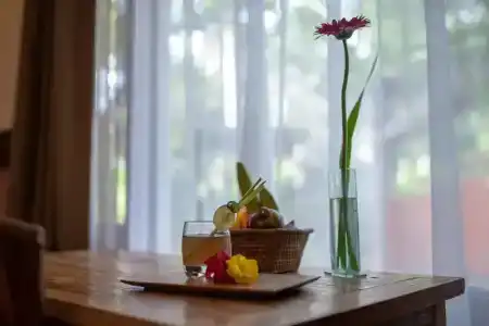 Ubud Aura Wellness Sanctuary - 25