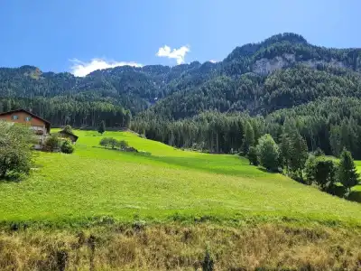 Baumwirt - 12