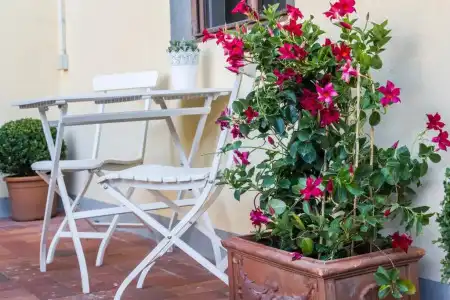 The Artists' Palace Florence - 136