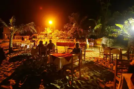 Monkey Island Resort - 29