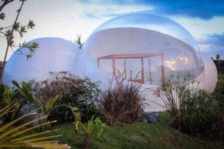 Green Land Bubble Glamping - 17