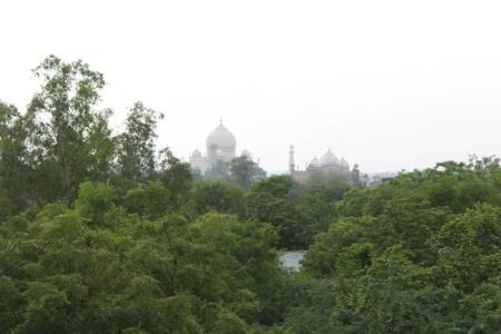 Atulyaa Taj - 86