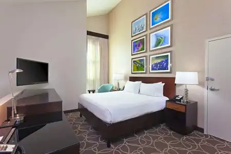 Hilton Garden Inn Marina Del Rey - 79