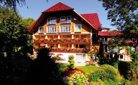 Rebstock Durbach - 80