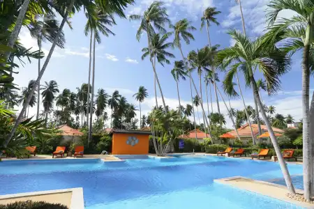 Viva Vacation Resort - 12