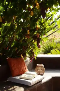 Zubebi Resort - 21